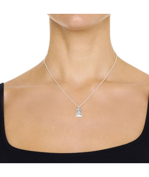 Silverhalsband A Horse With No Name