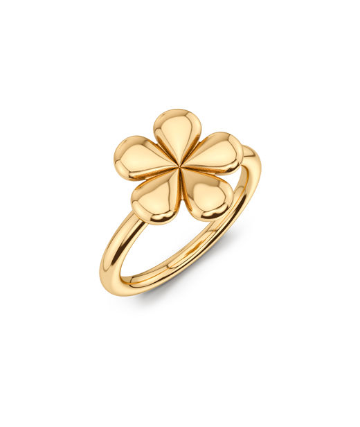 Stålring Daisy Gold SU26