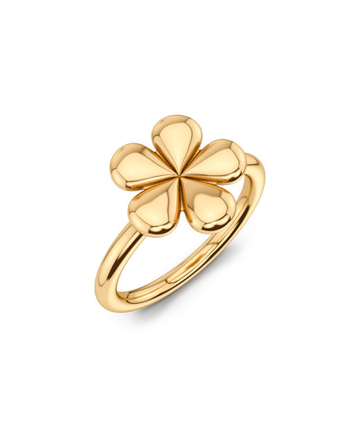Stålring Daisy Gold SU26