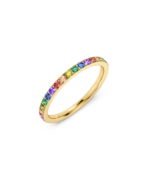 Stålring Rainbow Gold SU26