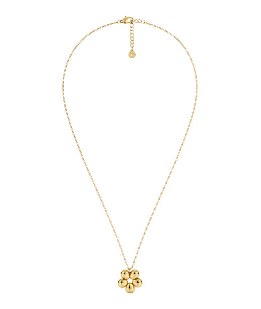 Stålhalsband Daisy M Gold SU26