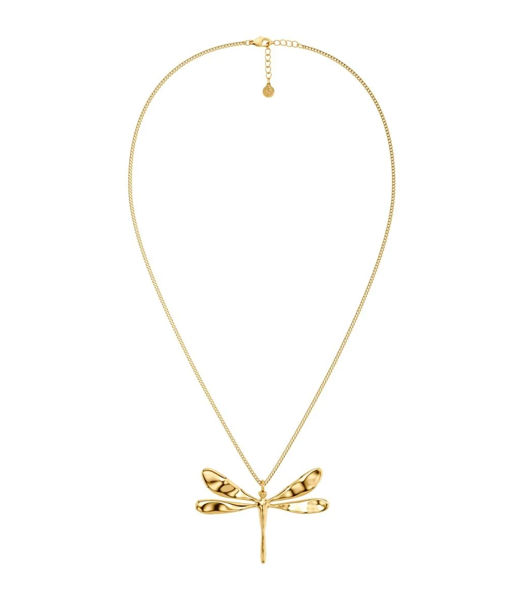 Stålhalsband Dragonfly L Gold SU26