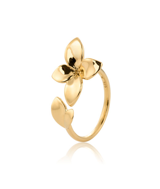 Silverring Lily fg