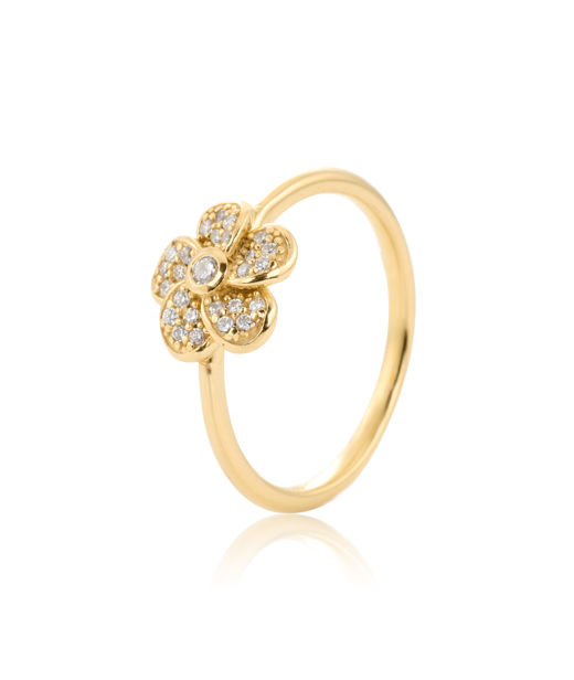 Silverring Rose Sparkling fg