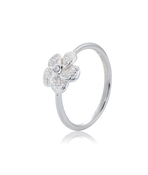 Silverring Rose Sparkling