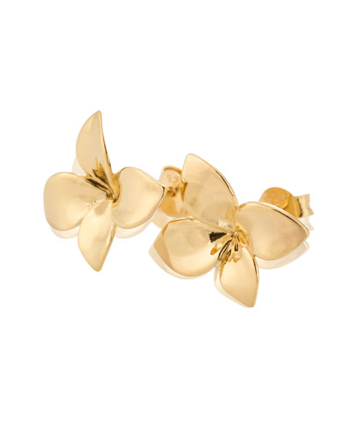 Silverörhänge Lily fg
