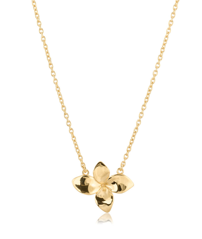 Silverhalsband Lily fg