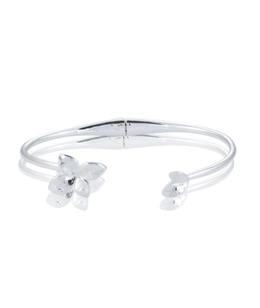 Silverarmring Lily