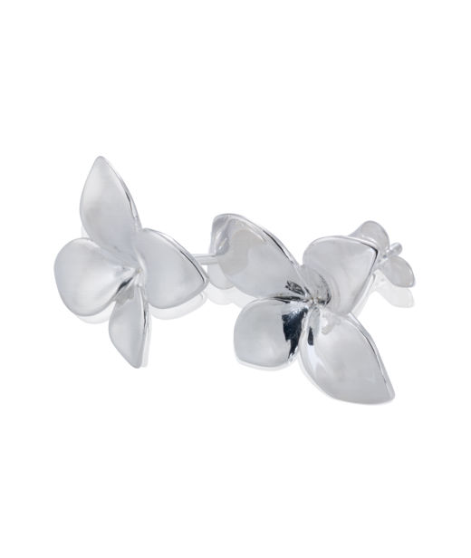 Silverörhänge Lily