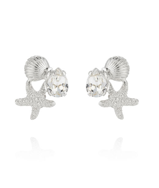 Mässingsörhängen SEASCAPE CRYSTAL RHODIUM