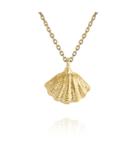 Mässingshalsband MIRA SHELL GOLD GOLD