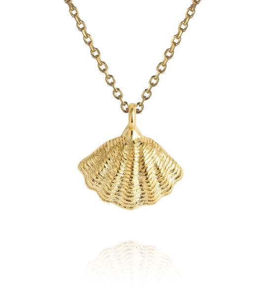 Mässingshalsband MIRA SHELL GOLD GOLD