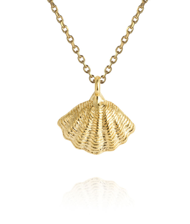 Mässingshalsband MIRA SHELL GOLD GOLD