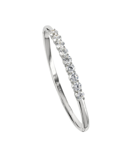 Stålarmband IRIS Bangle