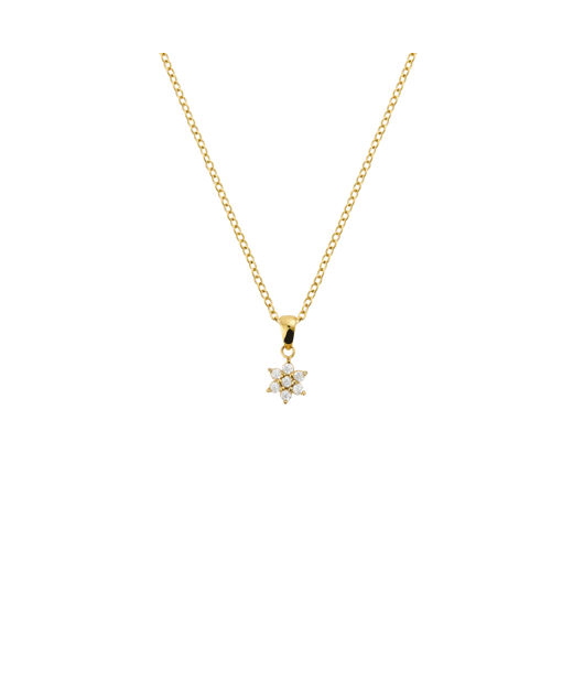 Stålhalsband Flora Gold