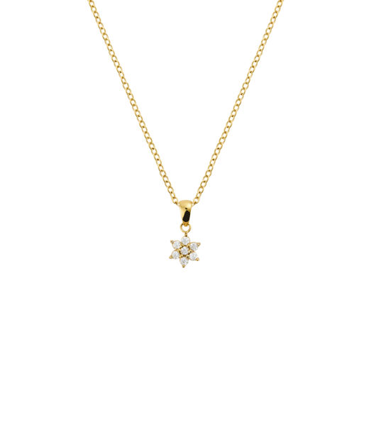 Stålhalsband Flora Gold