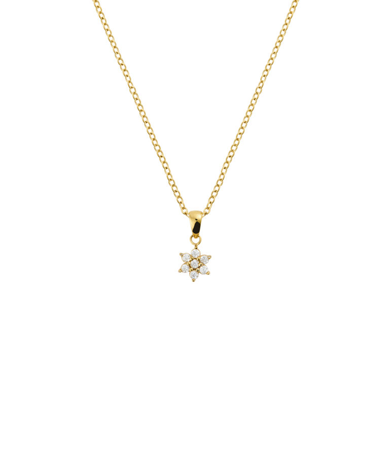 Stålhalsband Flora Gold