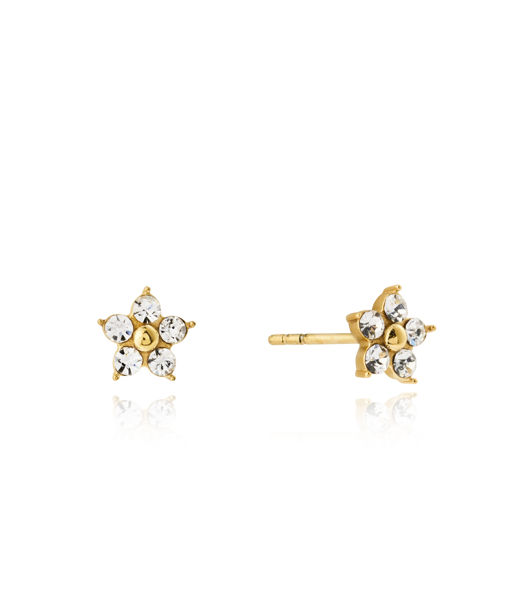 Stålörhängen Flora Gold Studs
