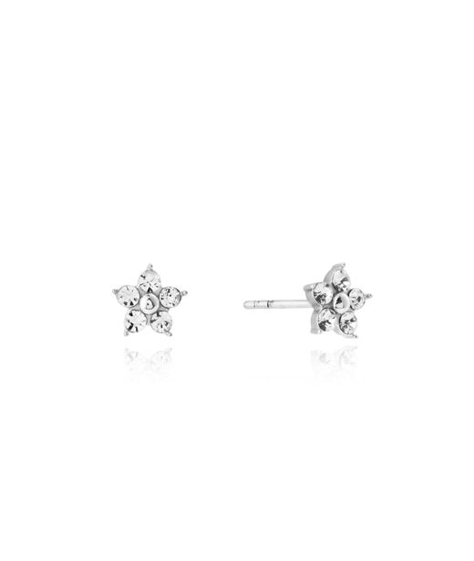 Stålörhängen Flora Steel Studs