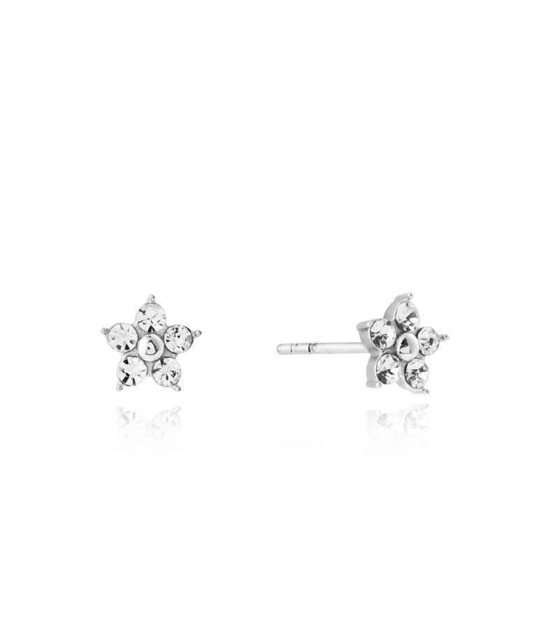 Stålörhängen Flora Steel Studs