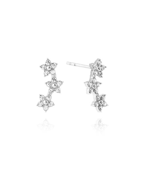 Stålörhängen Ellie Steel Studs