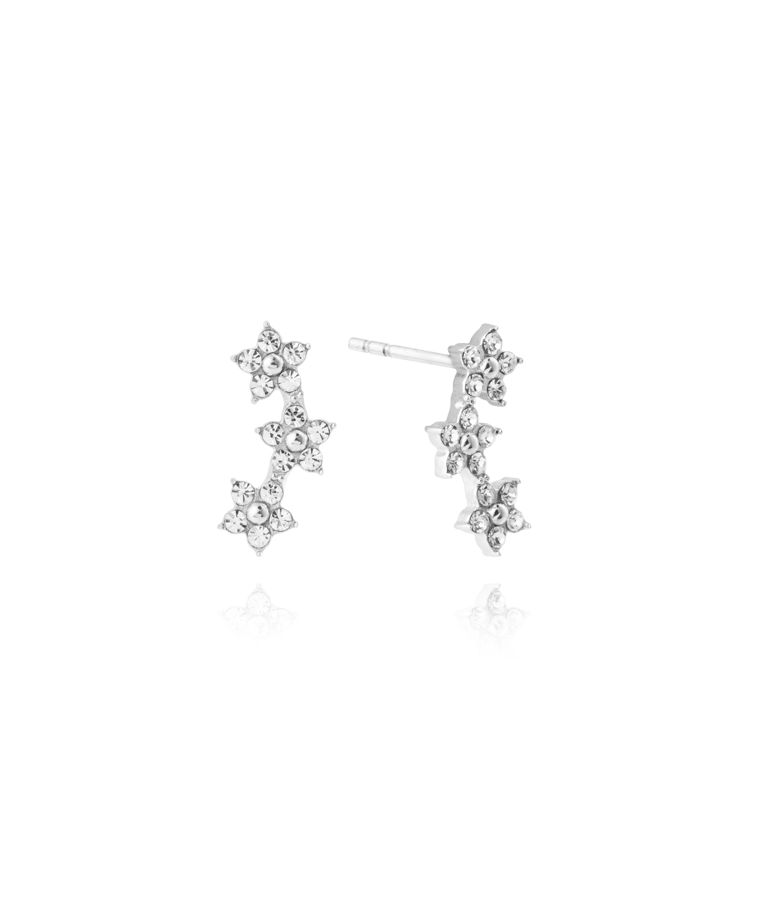 Stålörhängen Ellie Steel Studs
