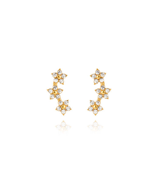 Stålörhängen Ellie Gold Studs