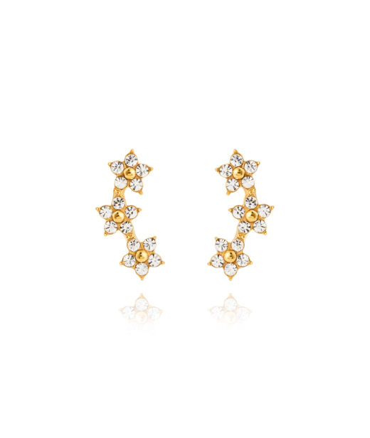 Stålörhängen Ellie Gold Studs