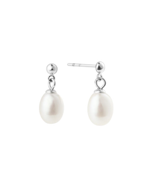 Stålörhänge Aura Pearl