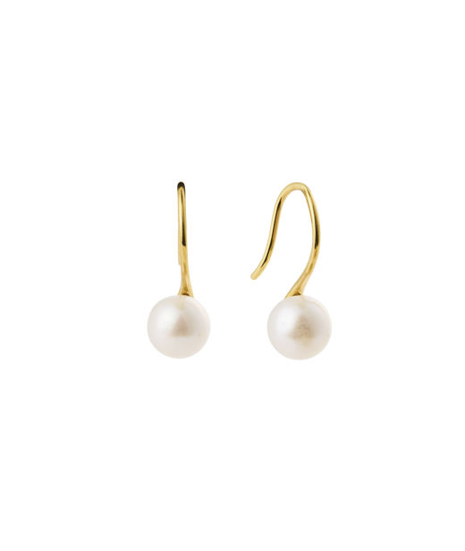 Stålörhänge Dream Pearl gold