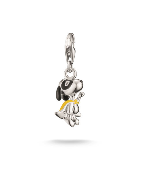 Silverhänge Snoopy superhjälte