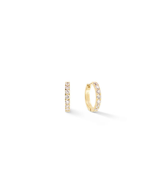 Stålörhänge Creol 20mm cz Gold