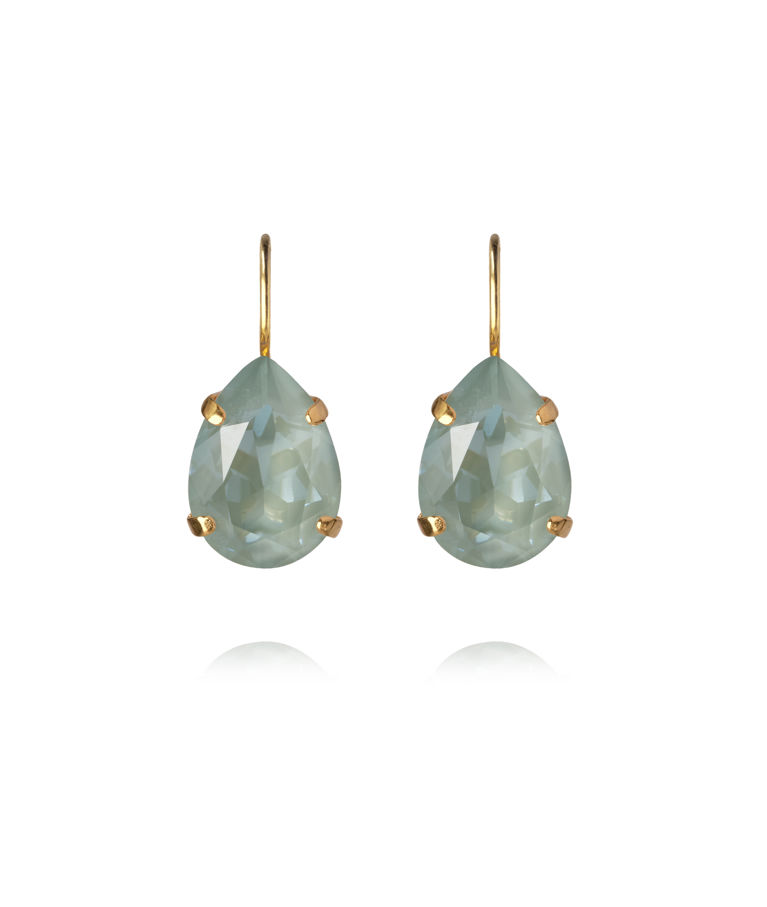 Mässingsörhängen MINI DROP CLASP AGAVE IGNITE Gold