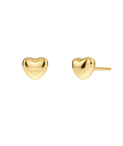 Stålörhängen Barley Petite Studs Gold AU26 gold