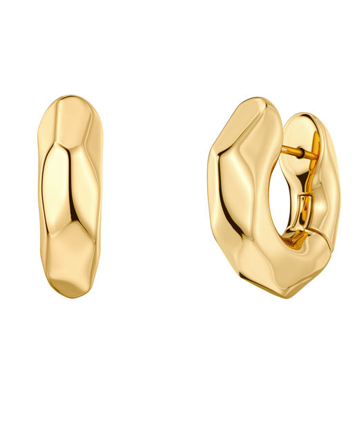 Stålörhängen Crystalite Hoops L Gold AU26 gold