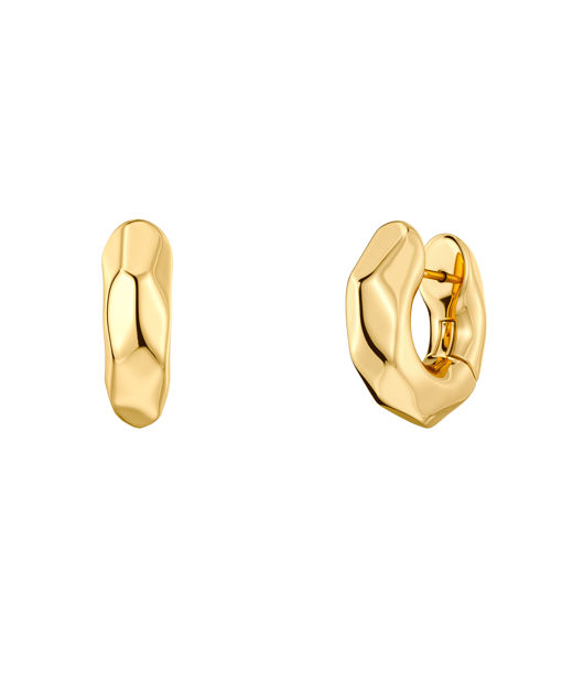 Stålörhängen Crystalite Hoops S Gold AU26 gold
