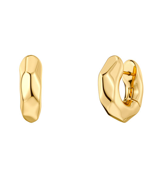 Stålörhängen Crystalite Hoops S Gold AU26 gold