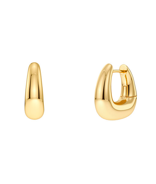 Stålörhängen Lore Hoops S Gold AU26 gold