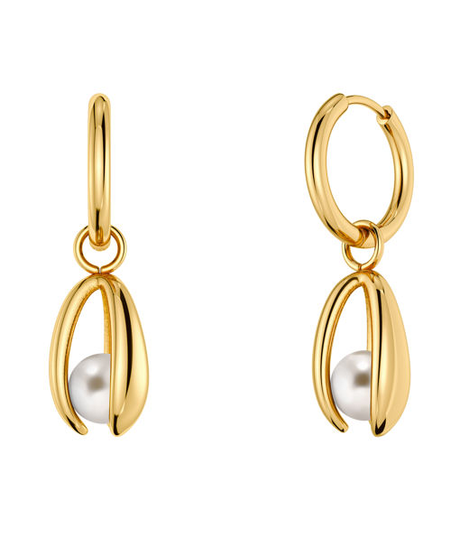 Stålörhängen Moonrave Hoops L Gold AU26 gold