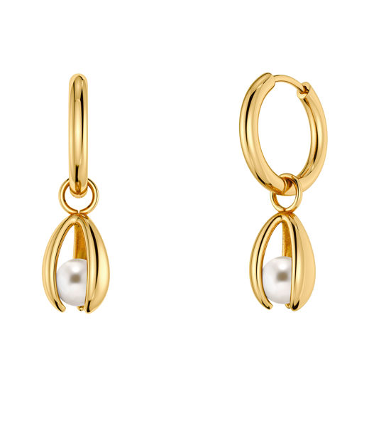 Stålörhängen Moonrave Hoops S Gold AU26 gold