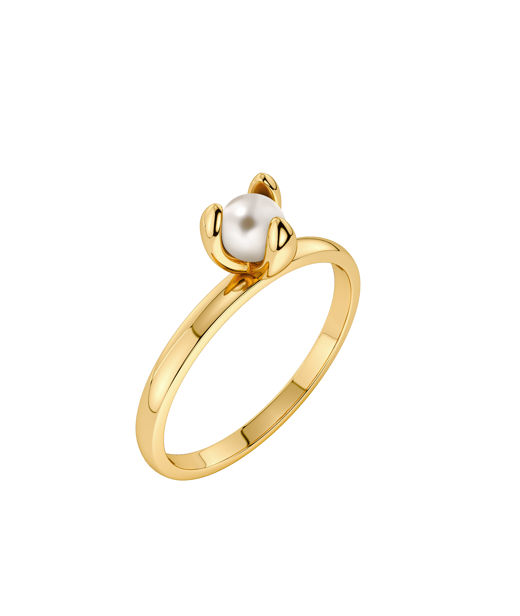 Stålring Moonrave Ring S Gold AU26 gold
