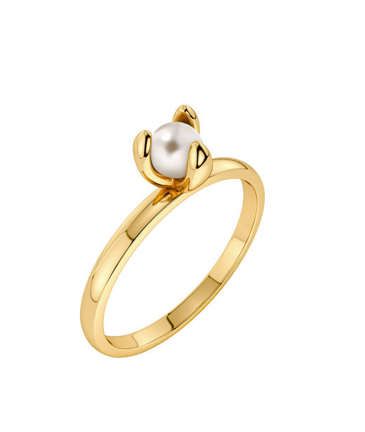 Stålring Moonrave Ring S Gold AU26 gold
