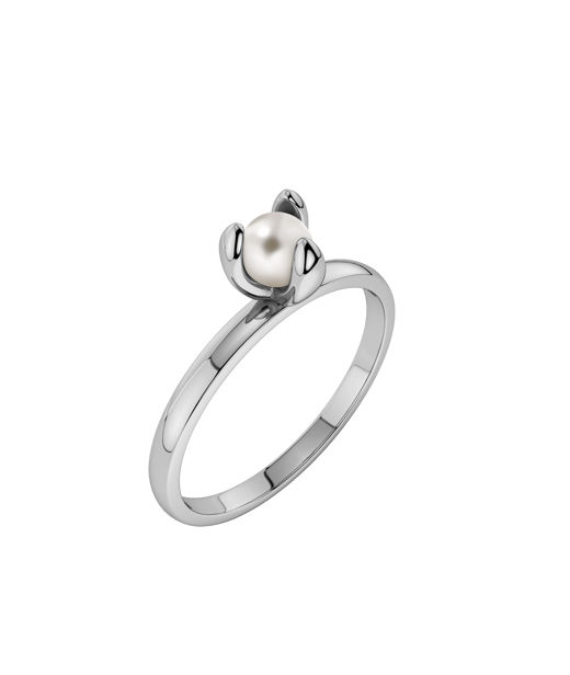 Stålring Moonrave Ring S Steel AU26