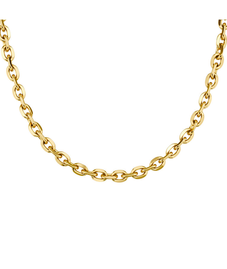 Stålhalsband Rio Necklace Gold Herr AU26 gold