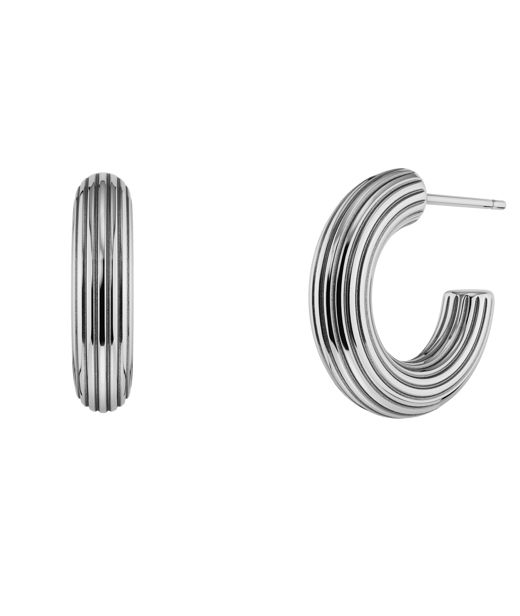 Stålörhängen Wildern Hoops Steel AU26