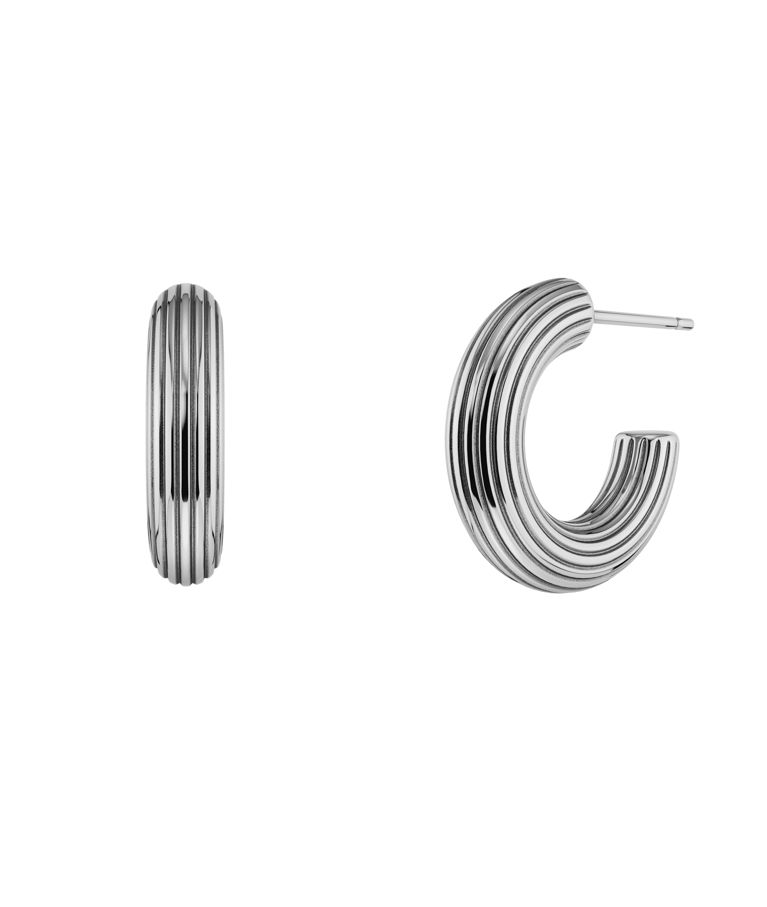 Stålörhängen Wildern Hoops Steel AU26