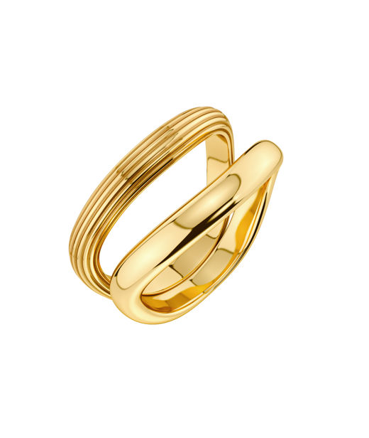 Stålring Wildern Ring Gold AU26 gold