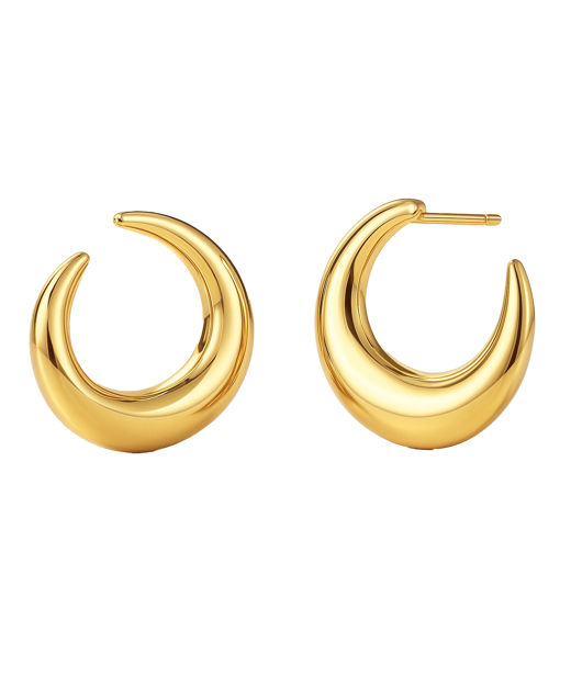 Stålörhängen Wishbone Hoops Gold AU26 gold