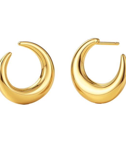 Stålörhängen Wishbone Hoops Gold AU26 gold