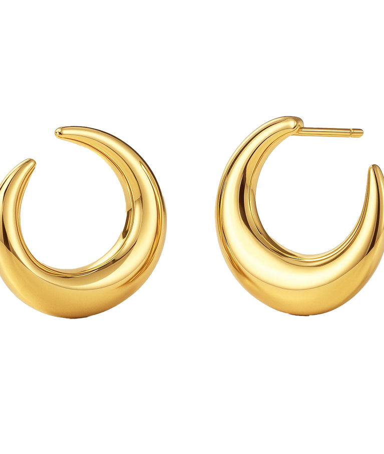 Stålörhängen Wishbone Hoops Gold AU26 gold